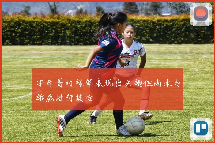 字母哥对绿军表现出兴趣但尚未与雄鹿进行接洽