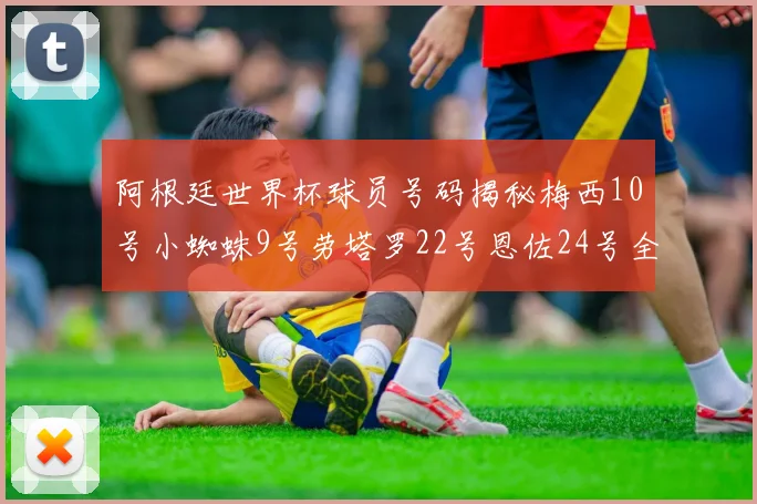 阿根廷世界杯球员号码揭秘梅西10号小蜘蛛9号劳塔罗22号恩佐24号全解析